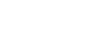 Public Sénat