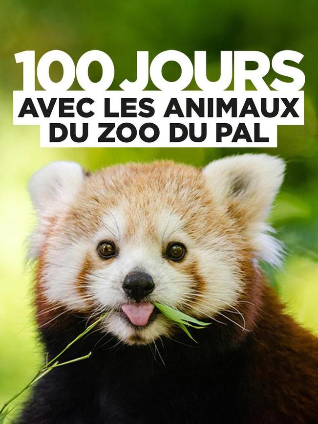 100 jours au zoo du Pal