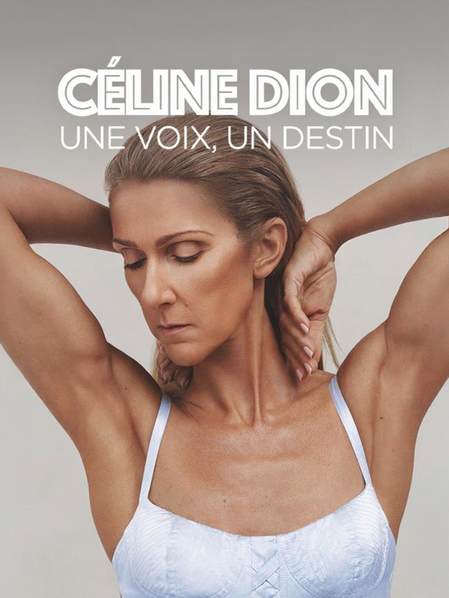 Céline Dion : une voix, un destin