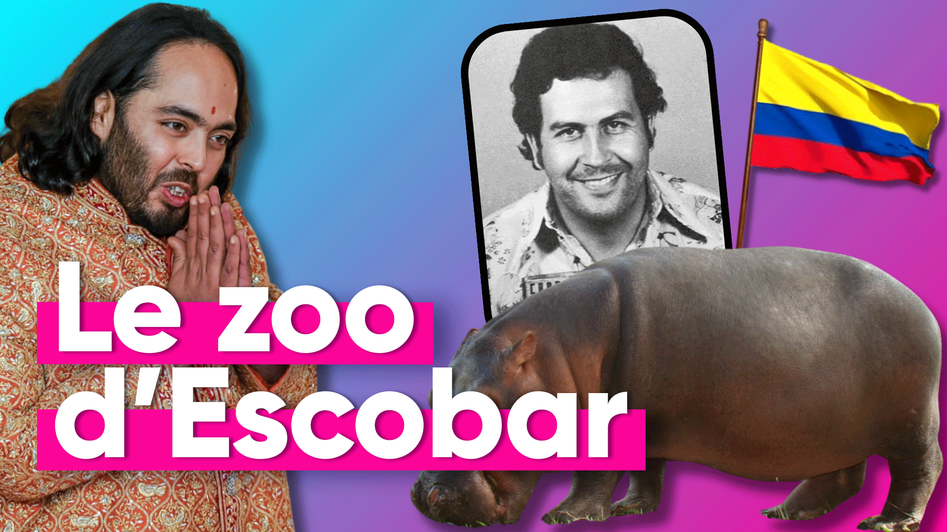 Un milliardaire Indien veut sauver les hippopotames de Pablo Escobar