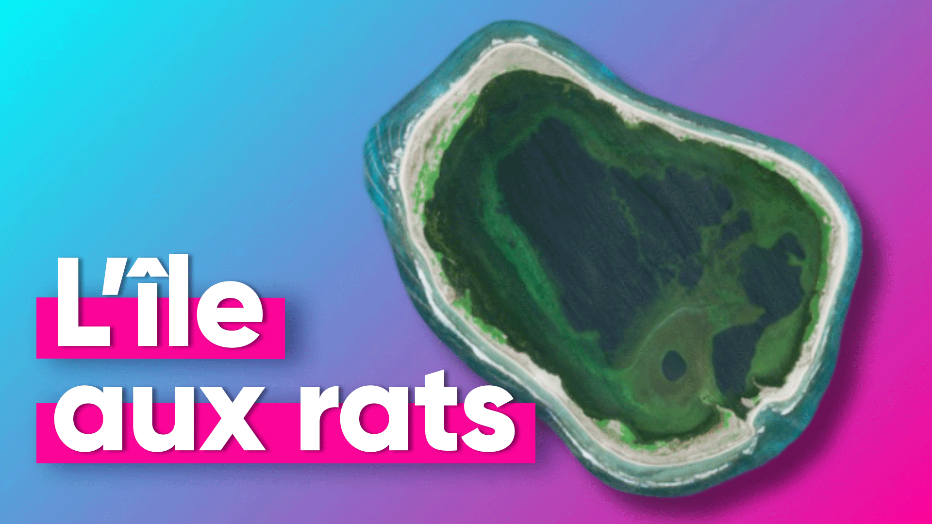 Rats, cocaïne et sable fin : l'étonnante île française de Clipperton
