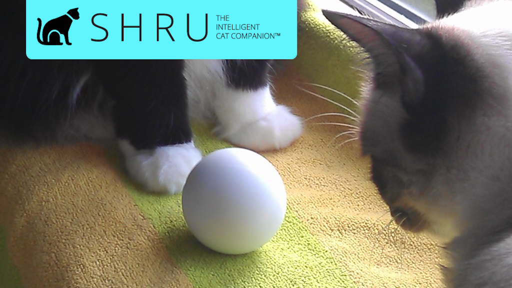 SHRU - The intelligent cat companion project video thumbnail