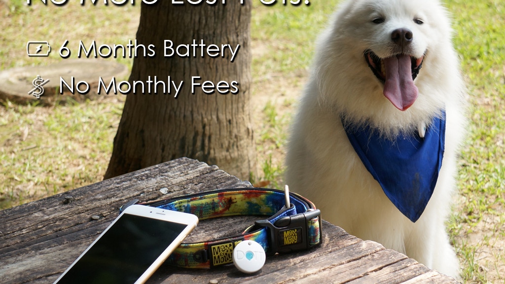 DOTT: The Smart Dog Tag project video thumbnail