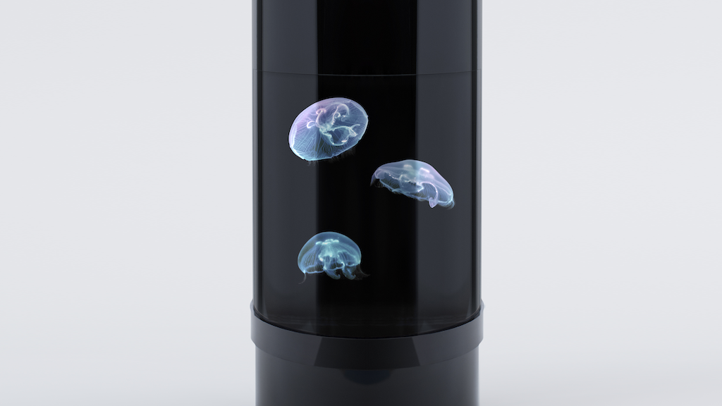 Jellyfish Aquarium project video thumbnail