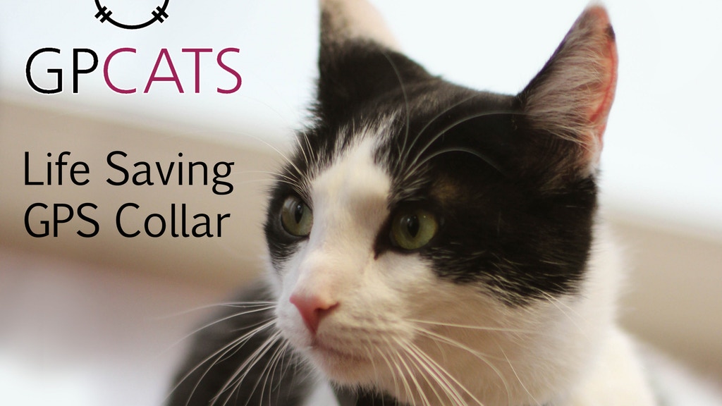 GPCATS - Life saving GPS tracker made specifically for cats project video thumbnail