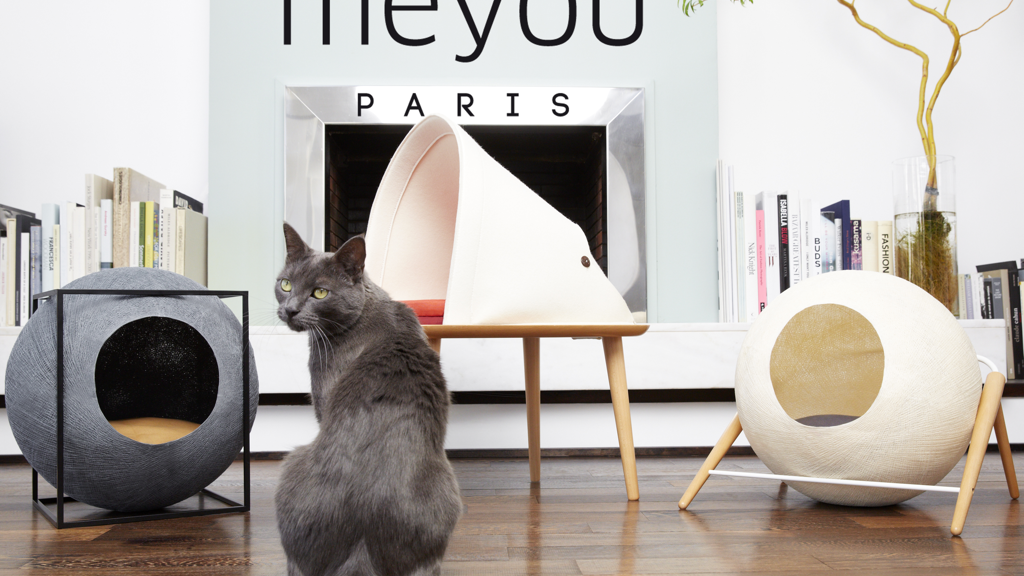 Meyou: Classy Furniture for Discerning Cat project video thumbnail