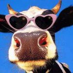 [AGRICULTURE] Le crowdfunding responsable