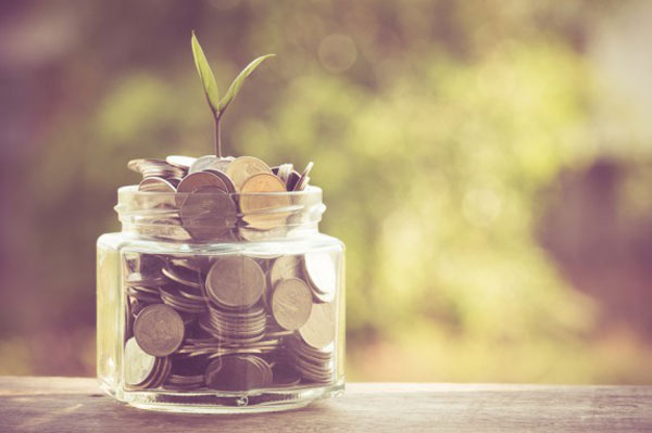 Crowdfunding-plante