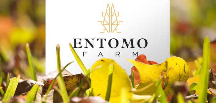 [SUIVI] Entomo Farm vers une nouvelle levée de fonds
